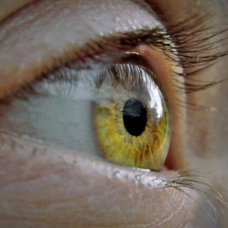 Close up of an amber eye