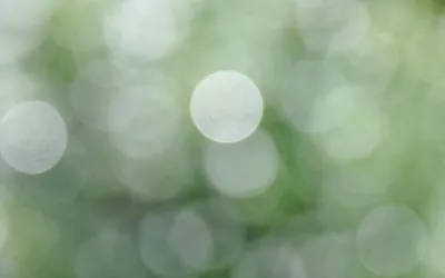 eye_floaters