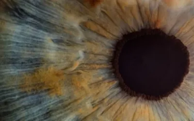 Close up of brown eye