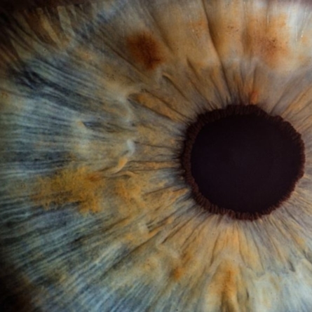 Close up of brown eye