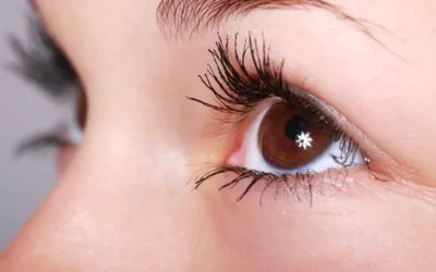 Close up of brown eyes