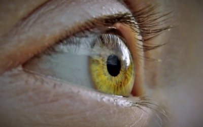 presbyopia-eye