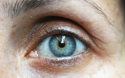 Blue eye close up