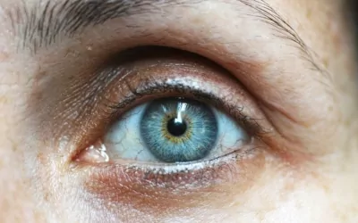 Blue eye close up